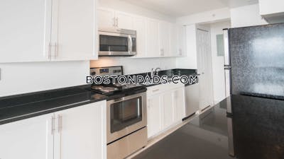 West End Apartment for rent 2 Bedrooms 2 Baths Boston - $5,055