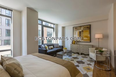 West End 2 bedroom  baths Luxury in BOSTON Boston - $5,810