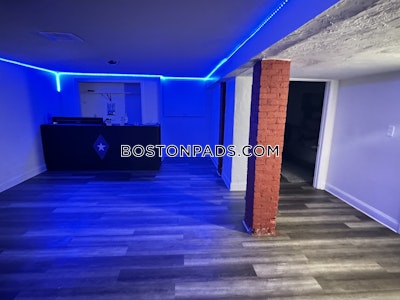 Mission Hill 11 Beds 4.5 Baths Boston - $17,600