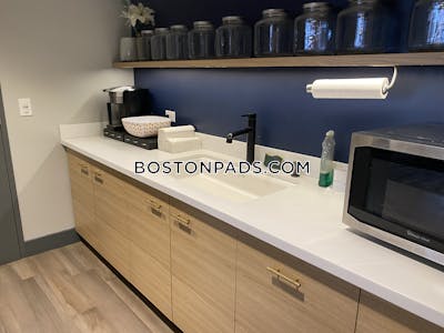 Allston 1 Bed 1 Bath Boston - $3,000