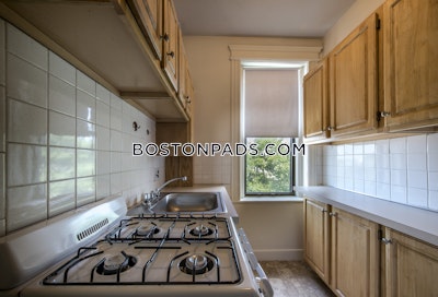 Allston Apartment for rent 1 Bedroom 1 Bath Boston - $2,250