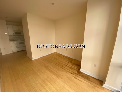 Downtown Apartment for rent 1 Bedroom 1 Bath Boston - $2,995 No Fee