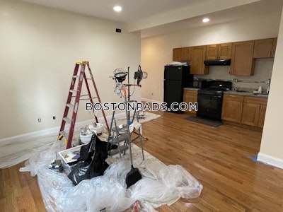 Roxbury 3 Beds 1 Bath Boston - $3,100